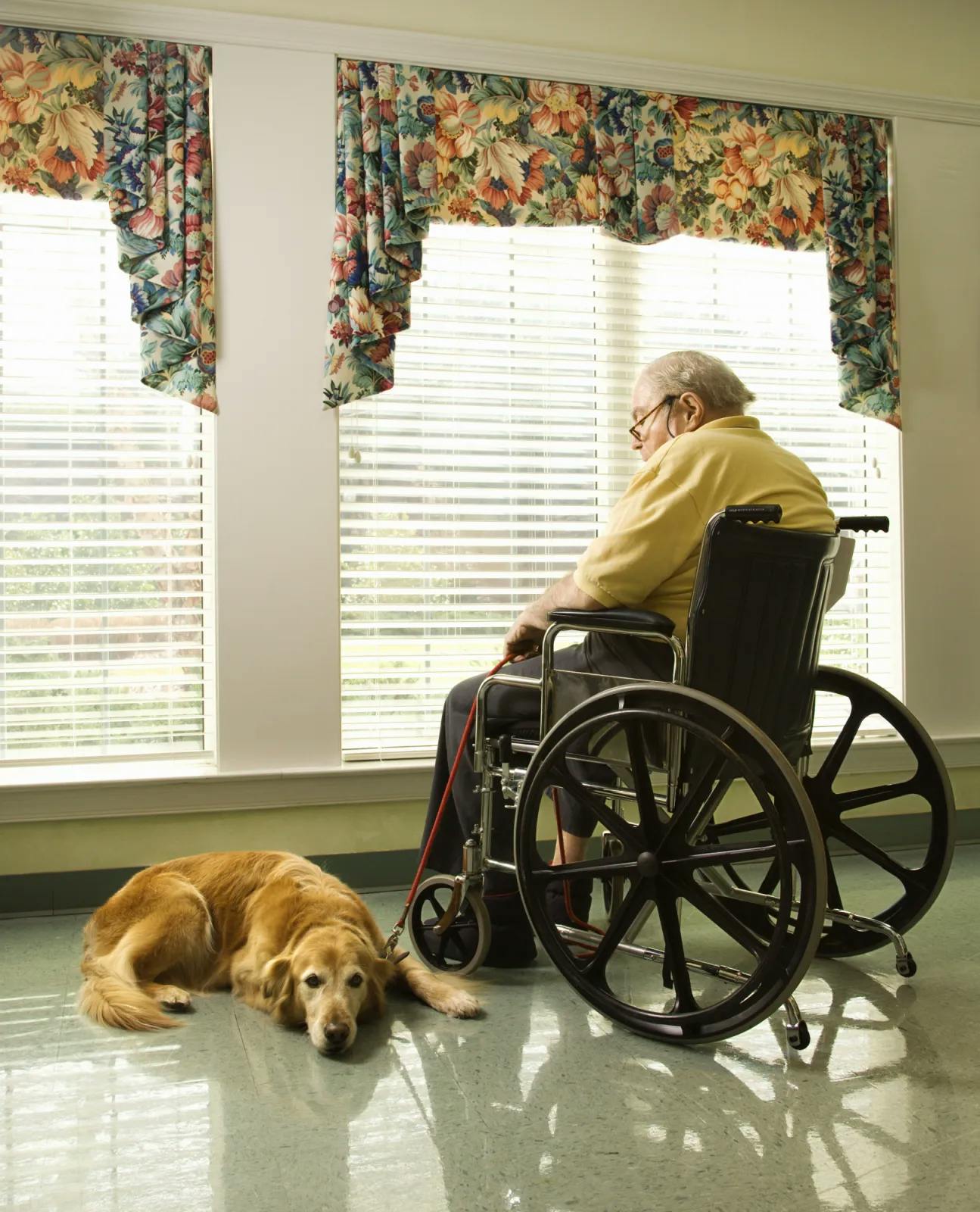 Senior man in wheelchair with dog in retirement home