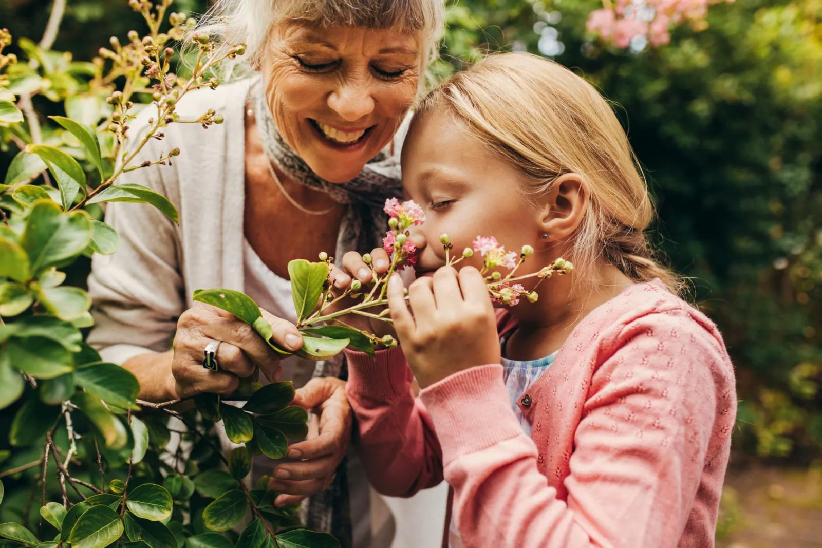 Smiling grandmother and granddaughter smelling flowers in garden